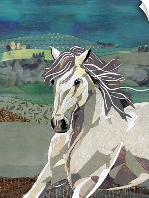 White Horse Freedom