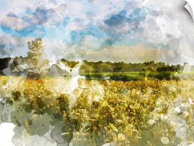 Yellow Meadow