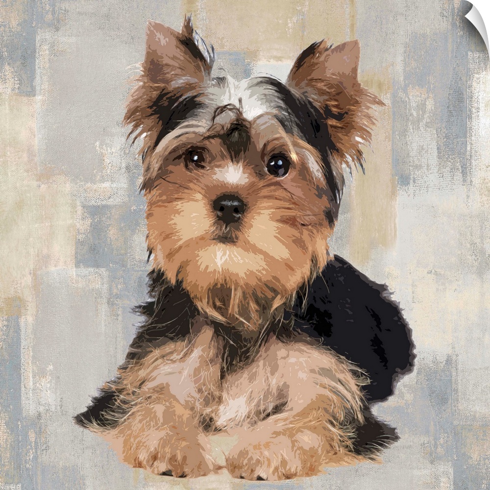 Square decor with a portrait of a Yorkshire Terrier on a layered gray, blue, and tan background.