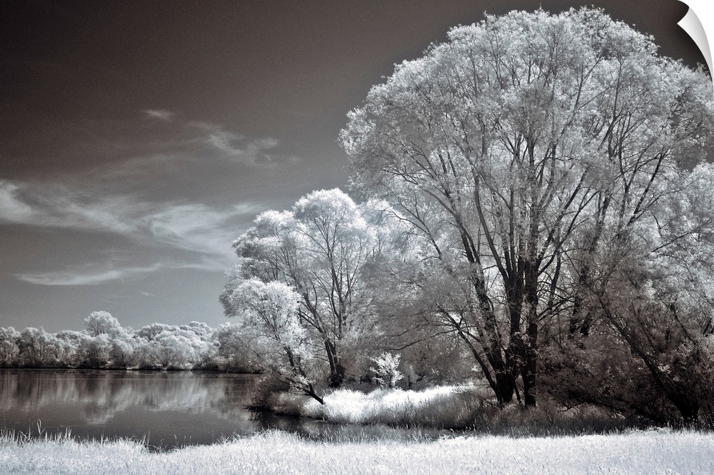 An infrared photograph of a tranquil landscape of a lake surrounded by large trees.