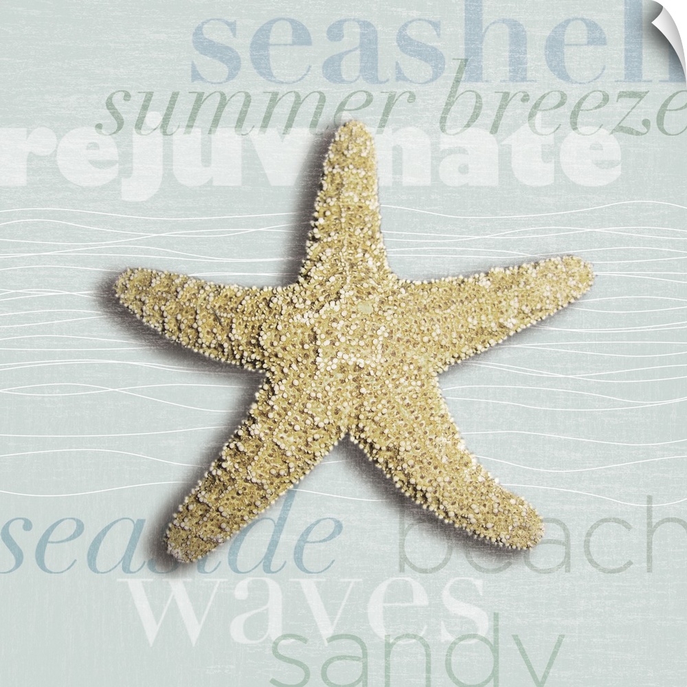 Decorative artwork of a starfish against a light blue background with beach theme words.