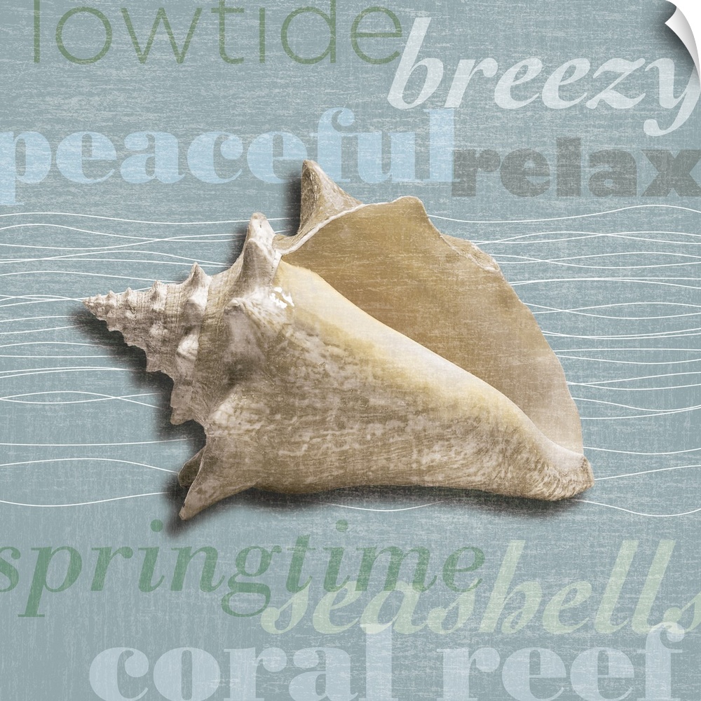 Decorative artwork of a sea shell against a light blue background with beach theme words.