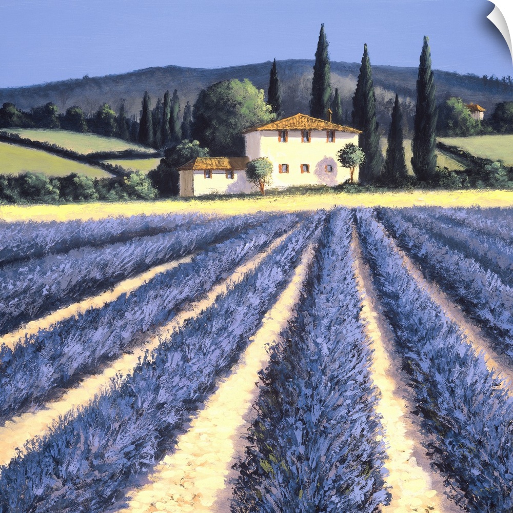 Contemporary artwork of lavender fields in the countryside.