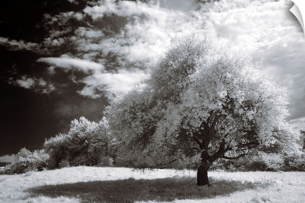 An infrared photograph of a beautiful landscape with large clouds.