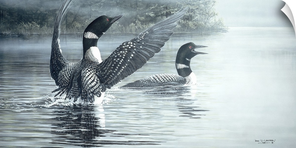 Contemporary painting of a pair of loons in a pond surrounded by mist.
