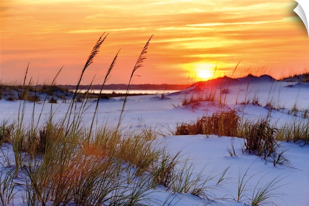 Photograph of a orange and yellow sunset over sandy dunes on a beach.