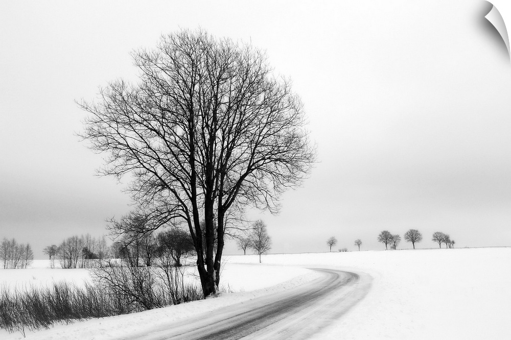 A black and white photograph of a snowy country scene of a  tree next to a road.