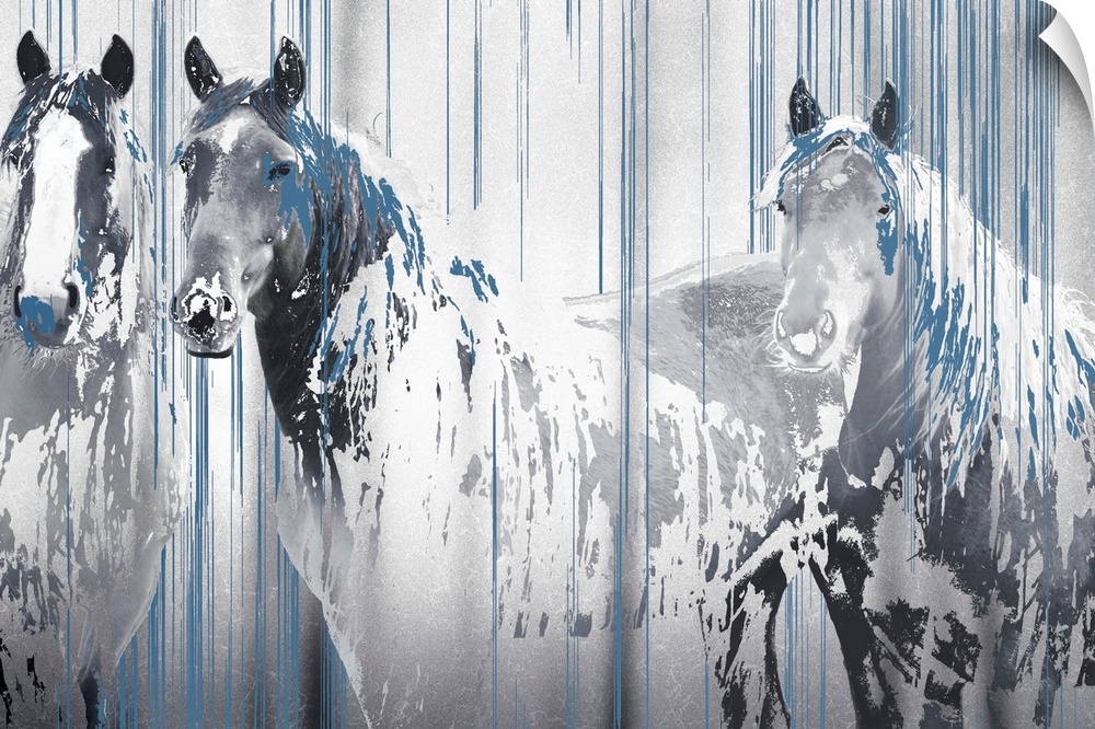 A composite image of three horses in tones of gray with drips of blue paint overlapping the image.