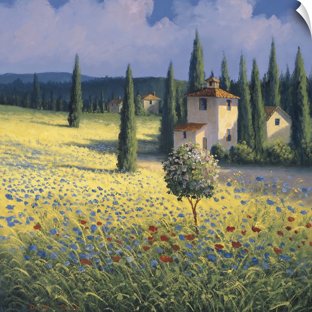 Landscape painting of a Tuscan hillside with tall cypress trees.
