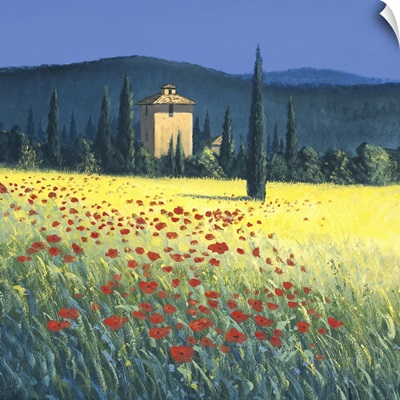 Tuscan Poppies II