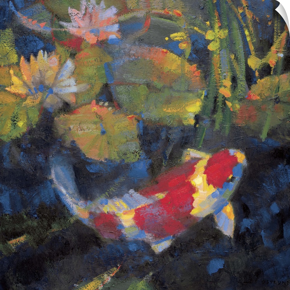 Contemporary painting of a koi fish swimming under waterlilies.