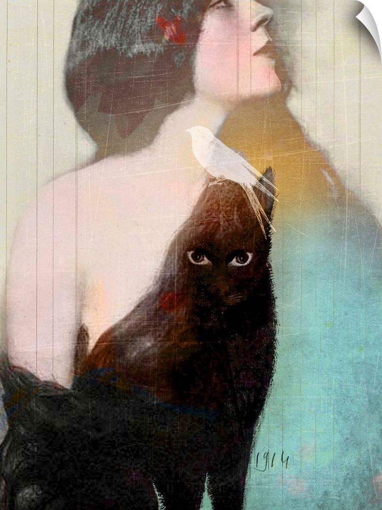A composite image of a woman with long black hair and a black cat with a white bird on it's head.