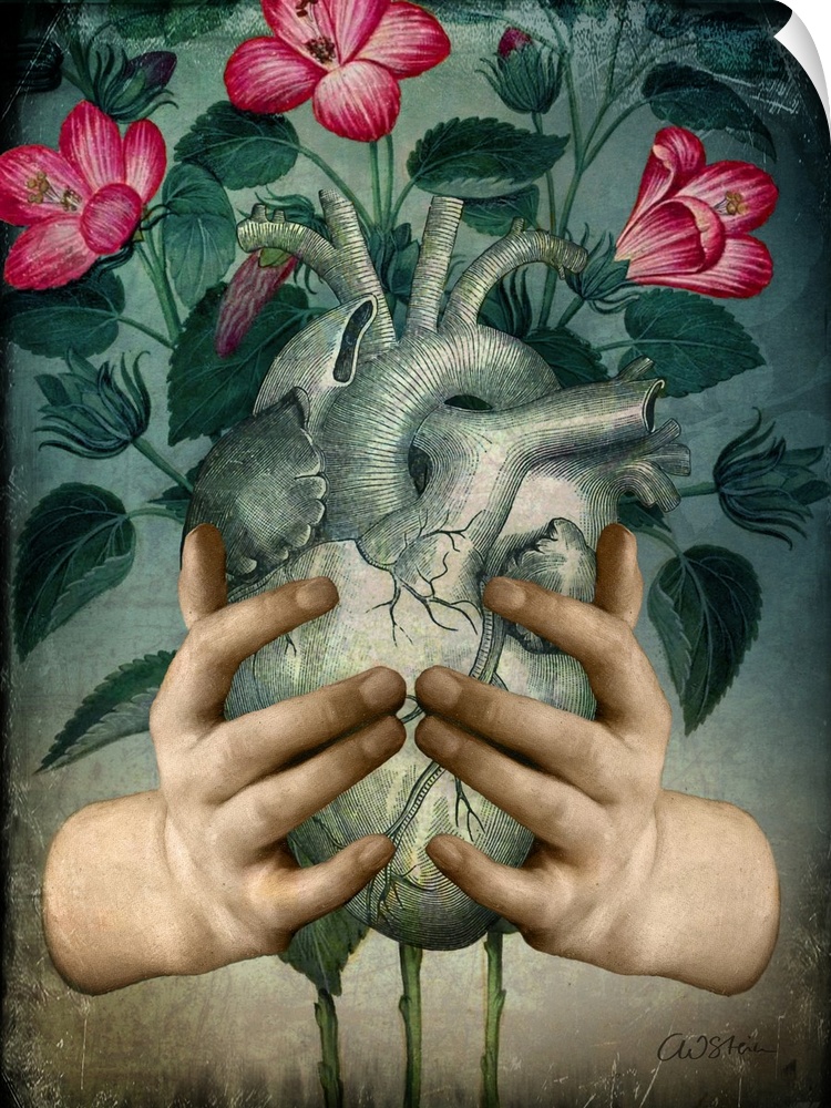 A pair of hands are holding a human heart with flowers behind it.