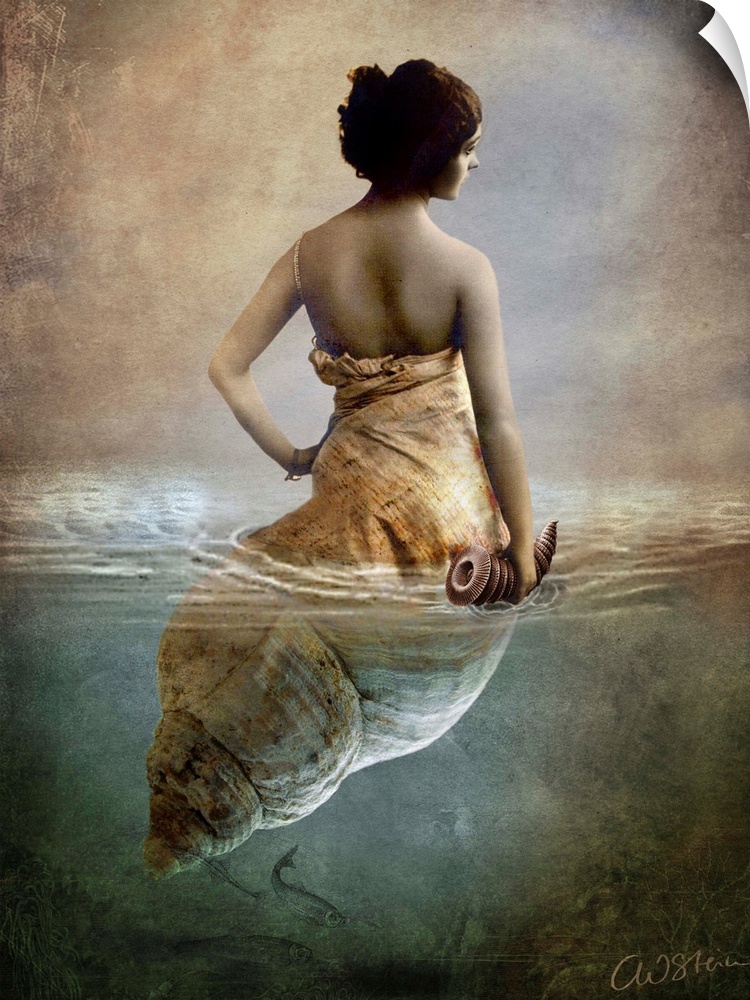 Conceptual art of a woman who is half shell, floating in water.