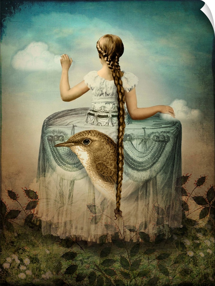 A lady with a long braid is in a Victorian dress which has a large bird and flowers on it.