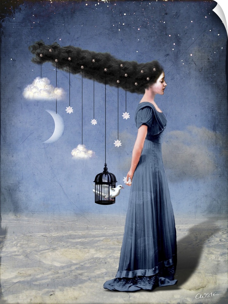 A lady in blue has clouds, moon and stars hanging from her hair.  A cage with a white bird is also hanging from her and th...