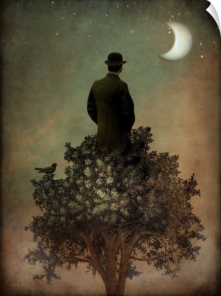 A man standing on the top of a tree looking out at the moon.