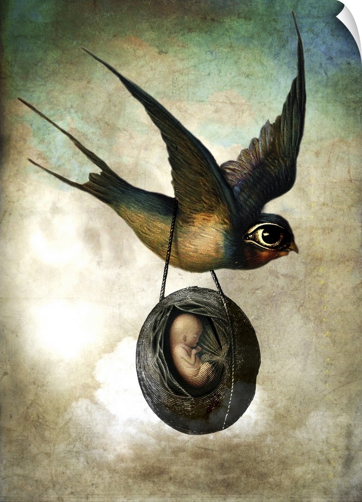 A bird with an over-sized eye carrying a husk with a unborn human baby in it.