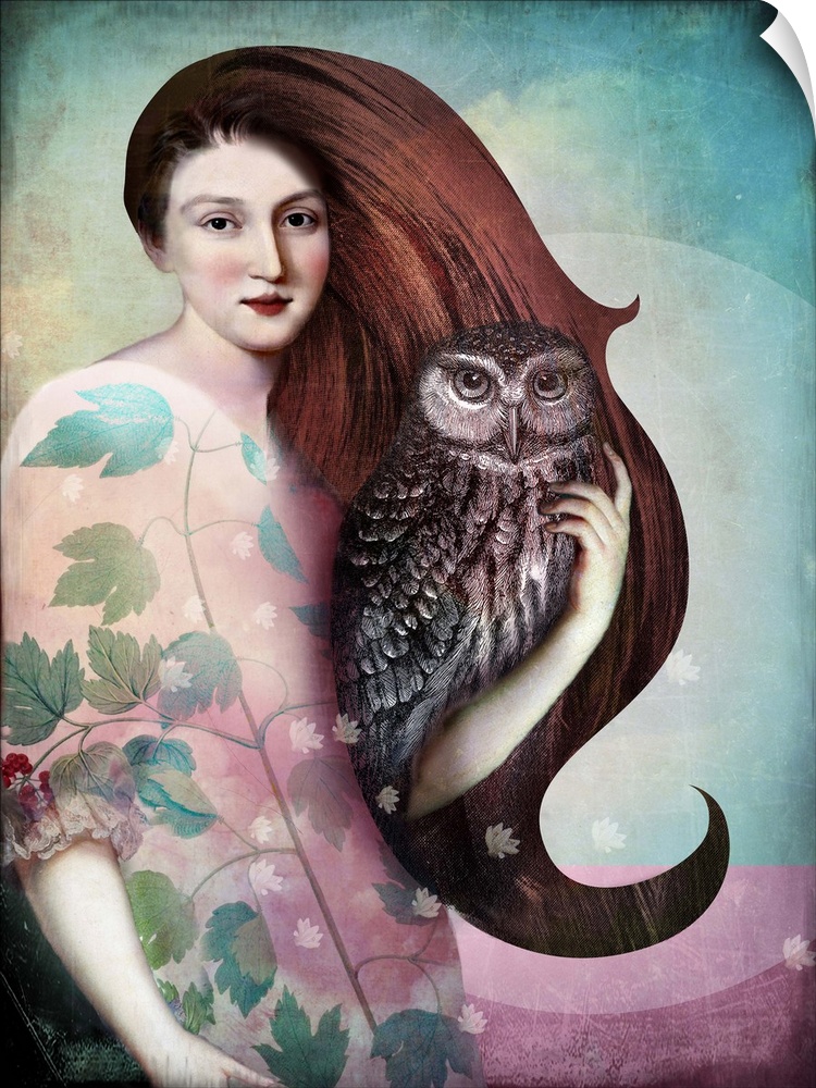 A woman with long brown hair is holding an owl in her arm.