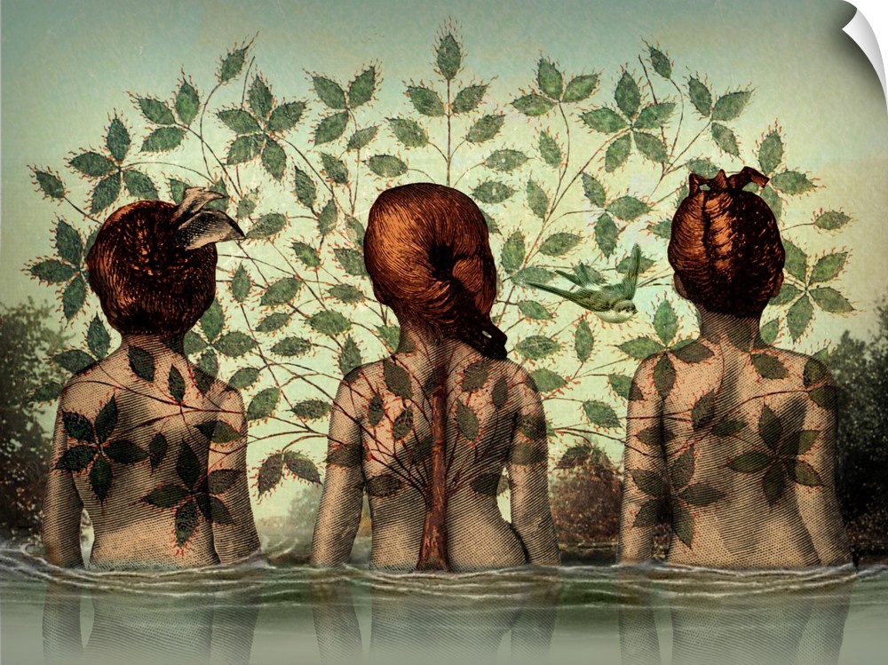 The backside of three woman standing in water with a tree overlapping them.