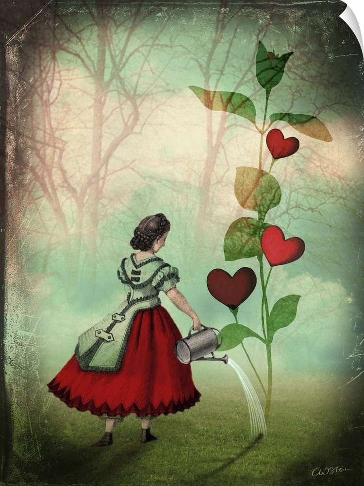 A lady is watering a plant that is blooming hearts on it's vine.