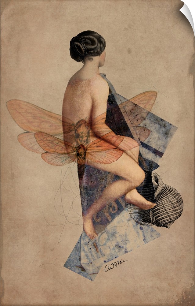 A nude woman with images of dragonflies overlapping.