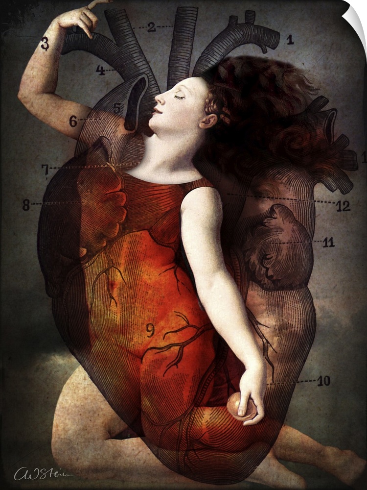 A digital composite of a female and heart diagram.