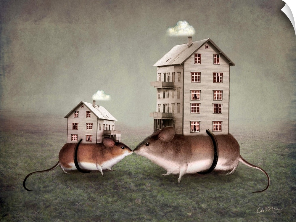 Conceptual art of two mice with houses strapped onto their backs.