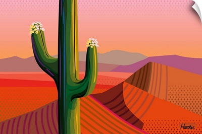 Saguaro Bloom