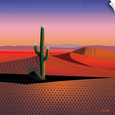 Saguaro Spiritual