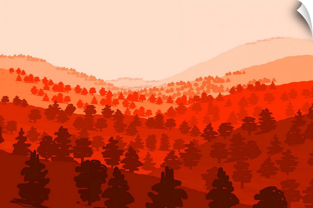 Warm forest in Southern California.Illustration and painting