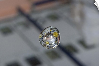Air and pepper oil suspended in a water droplet