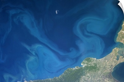 Dr. Seuss-inspired swirls in the Black Sea