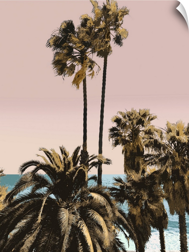 Palms And Beach III