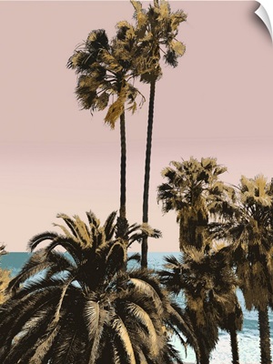 Palms And Beach III