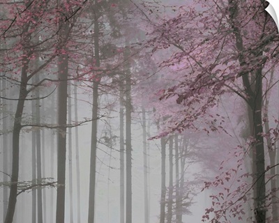Tree Path Pink Grey 2