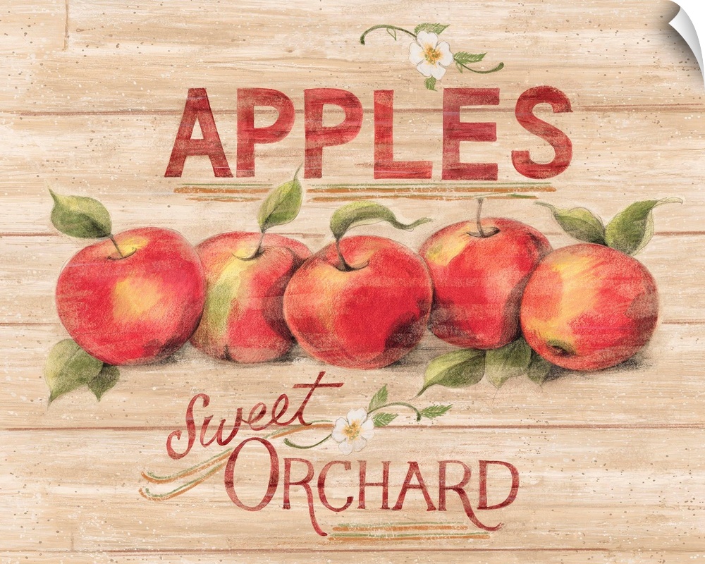A vintage apple orchard sign evokes childhood memories of apple-picking!