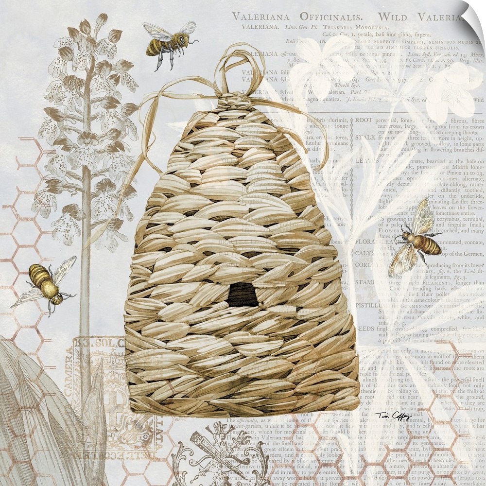 A classic and elegant botanical of a bee skep in a soft neutral palette.