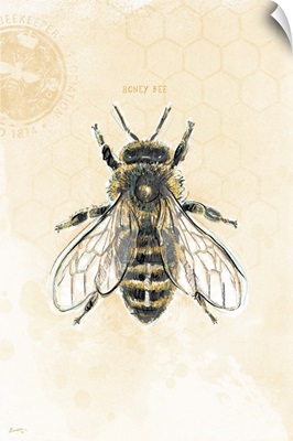 Bee Study