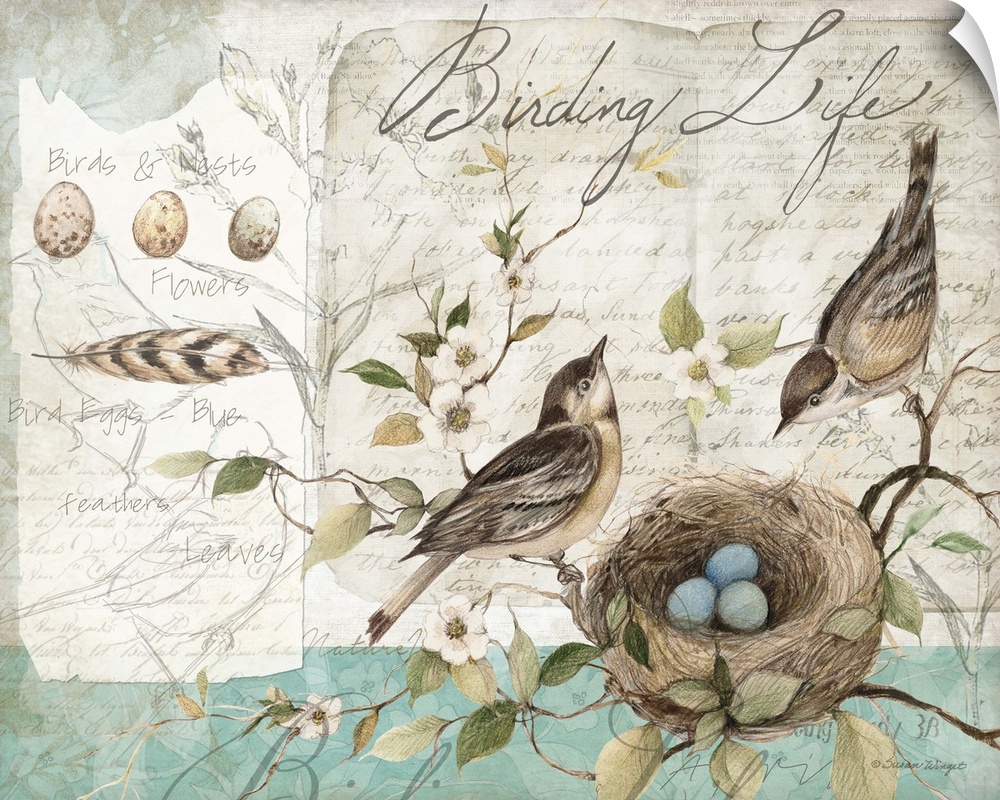 Lovely sketchbook bird art is a soft accent den, living room or bedroom.