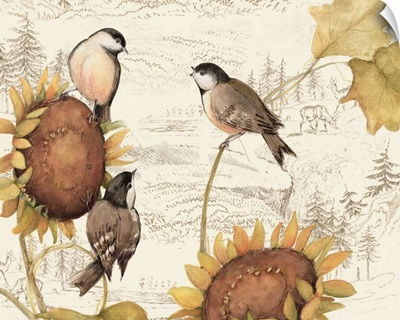 Birds on Sunflowers