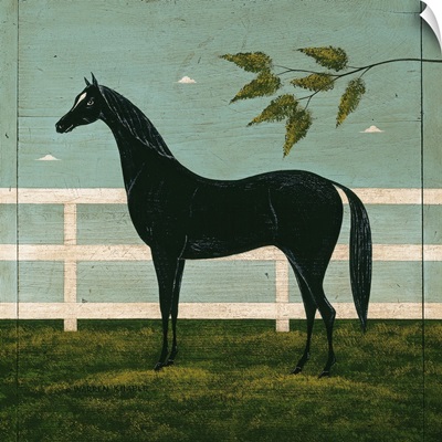 Black Horse Fenced
