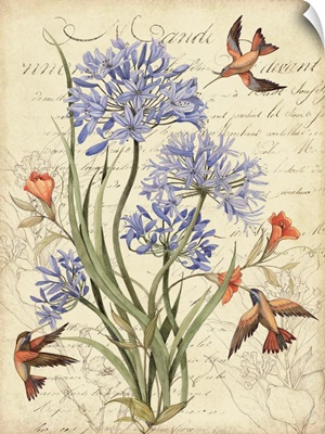 Blue Allium