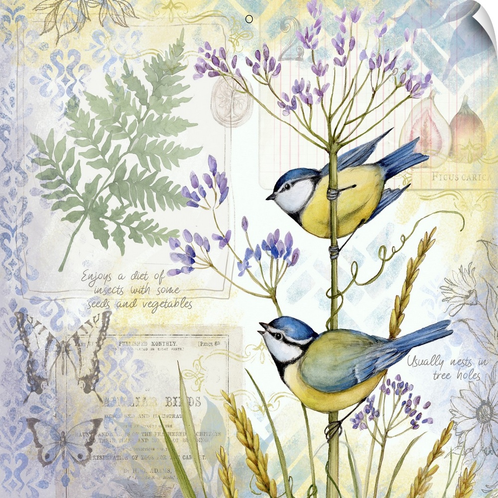 Botanical bird scene brinks the beauty of nature into your home decor.