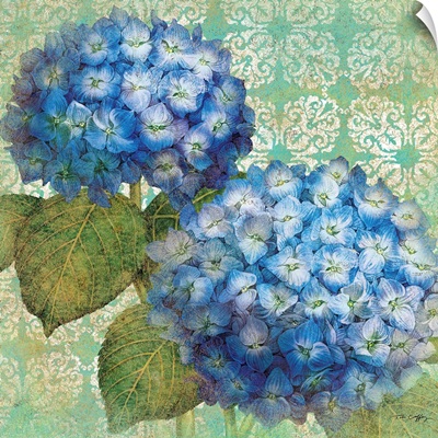 Blue Hydrangeas, Blue