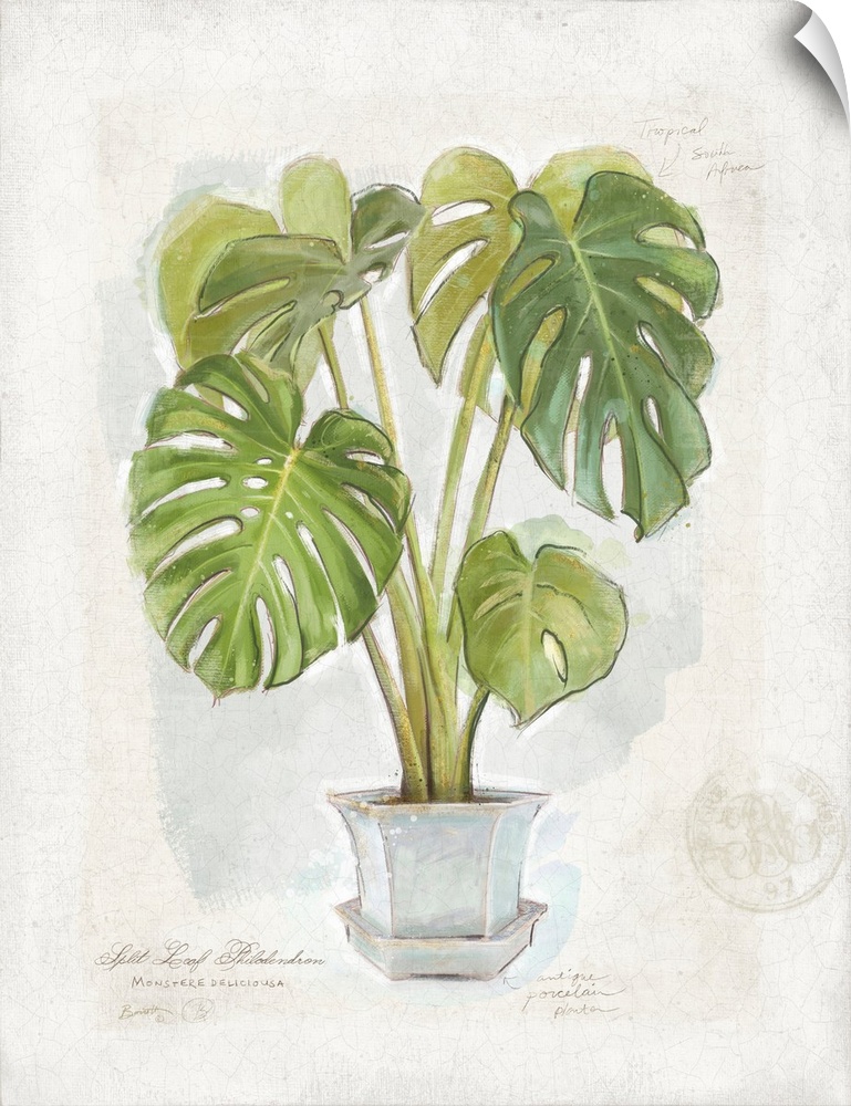 Elegant fern art is perfect for any decor and any room!