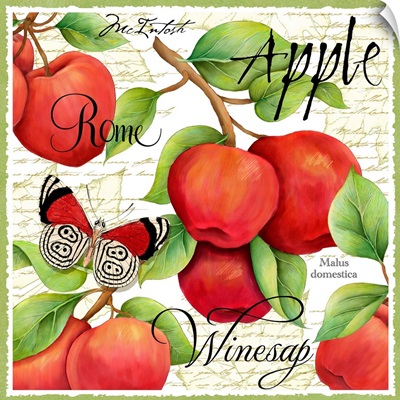 Botanical Apple