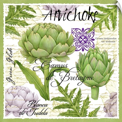 Botanical Artichoke