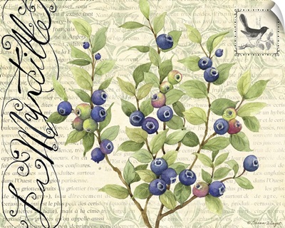 Botanical Blueberries