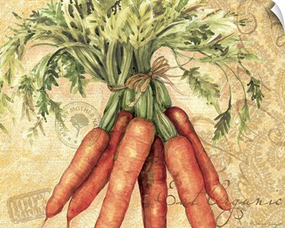 Botanical Carrots